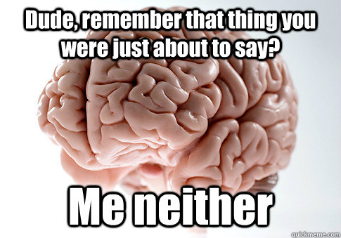 Dude, remember that thing you were just about to say? Me neither   - Dude, remember that thing you were just about to say? Me neither    Scumbag Brain