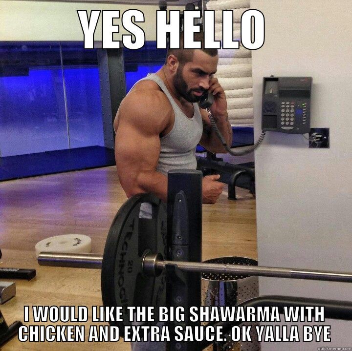 YES HELLO I WOULD LIKE THE BIG SHAWARMA WITH CHICKEN AND EXTRA SAUCE. OK YALLA BYE Misc