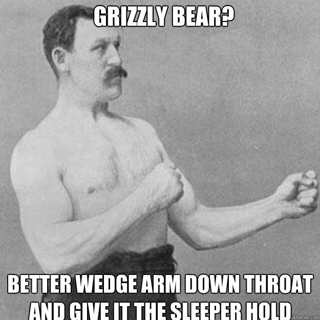 Grizzly bear? Better wedge arm down throat and give it the sleeper hold  overly manly man