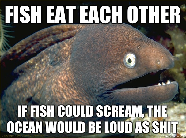 Fish eat each other If fish could scream, the ocean would be loud as shit  Bad Joke Eel