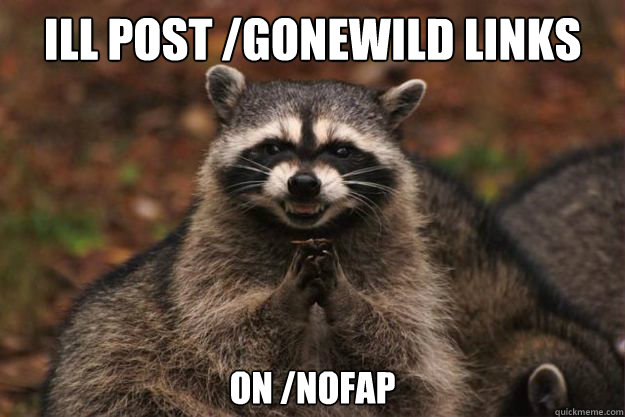Ill post /gonewild links on /nofap  Evil genius racoon