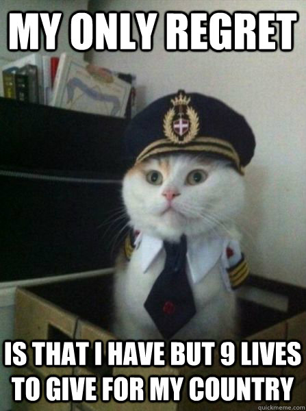 My only regret is that i have but 9 lives to give for my country  Captain kitteh