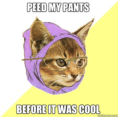 Peed my pants before it was cool  Hipster Kitty