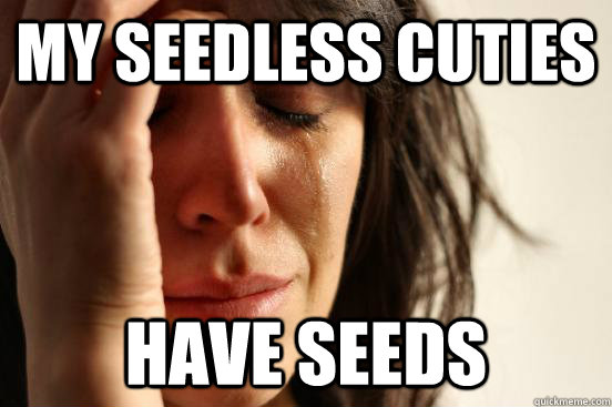 My seedless cuties have seeds - My seedless cuties have seeds  First World Problems