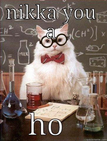 NIKKA YOU A HO  Chemistry Cat