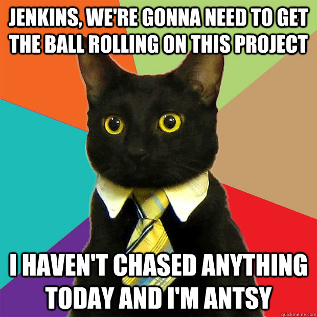 Jenkins, we're gonna need to get the ball rolling on this project I haven't chased anything today and I'm antsy  Business Cat