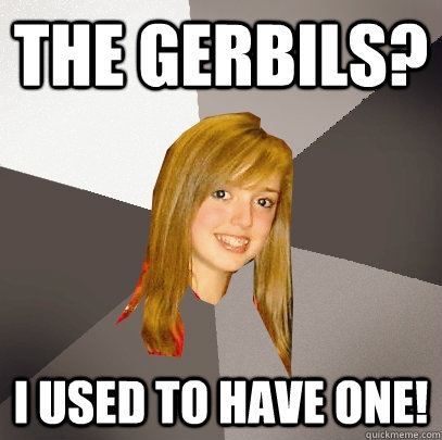 The Gerbils? I used to have one!  Musically Oblivious 8th Grader