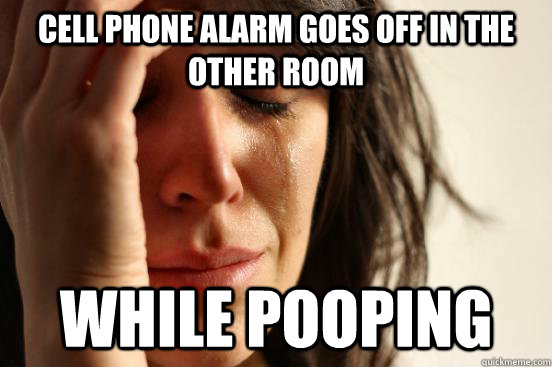Cell phone alarm goes off in the other room While pooping  First World Problems