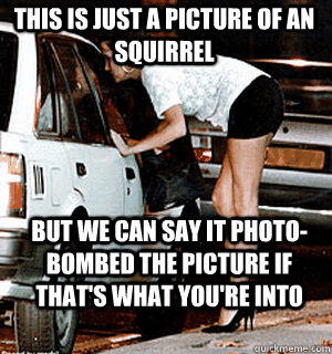 This is just a picture of an squirrel  but we can say it photo-bombed the picture if that's what you're into  Karma Whore
