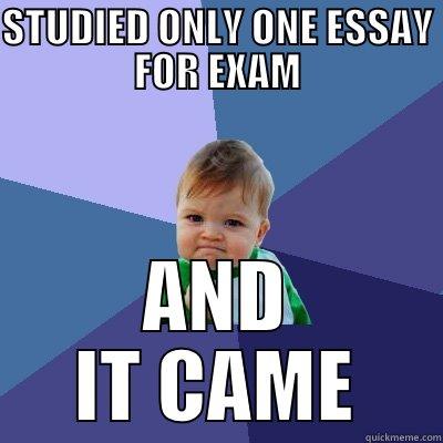 STUDIED ONLY ONE ESSAY FOR EXAM AND IT CAME Success Kid