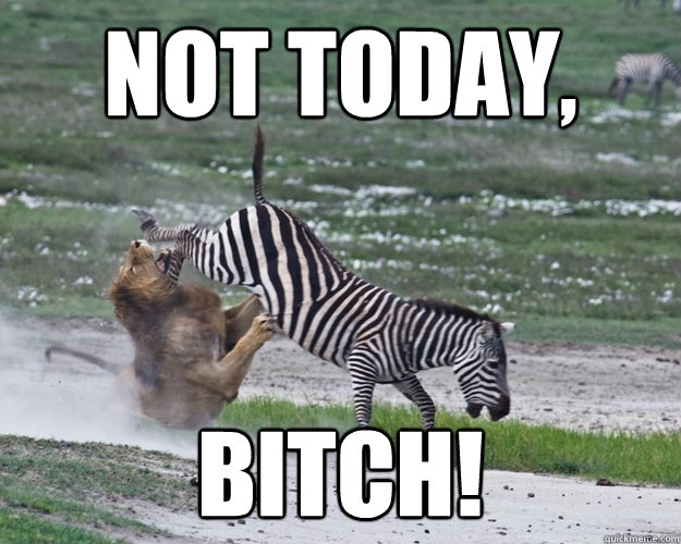 NOT TODAY, BITCH! - NOT TODAY, BITCH!  Misc