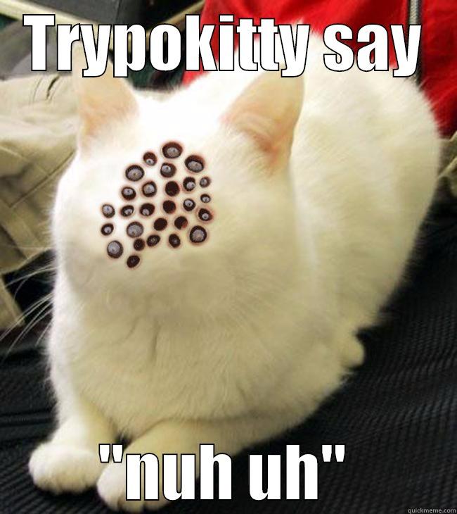 TRYPOKITTY SAY 