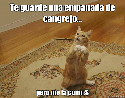 Te guarde una empanada de cangrejo... pero me la comi :S  Innocent cat