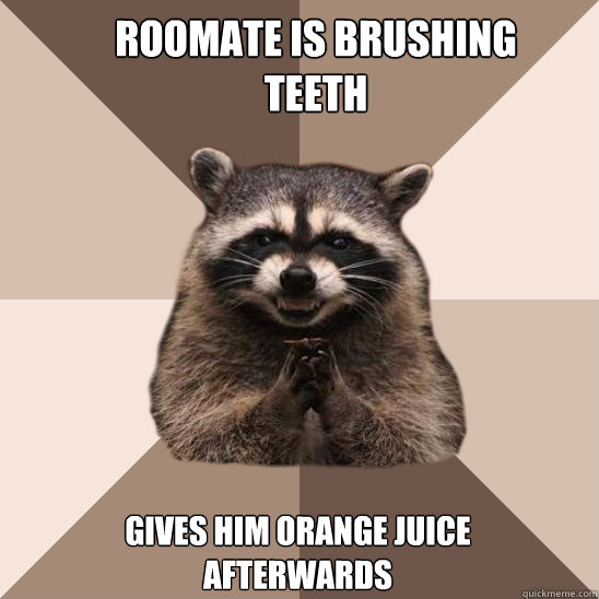 Roomate is brushing teeth Gives him orange juice afterwards  Evil Plotting Raccoon