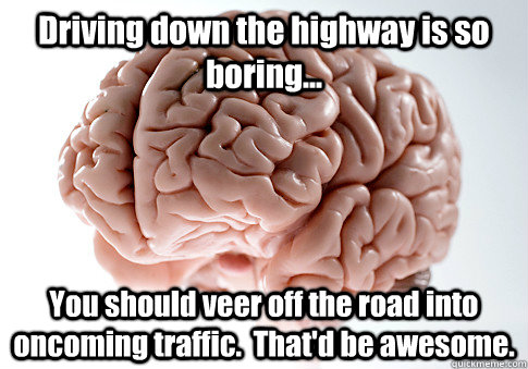 Driving down the highway is so boring... You should veer off the road into oncoming traffic.  That'd be awesome.   Scumbag Brain