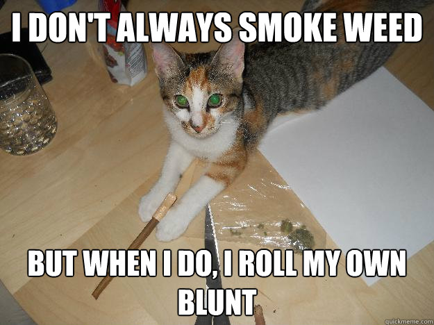 I don't always smoke weed But when I do, I roll my own blunt - I don't always smoke weed But when I do, I roll my own blunt  Pot Cat