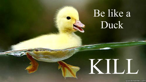 Be like a Duck Calm on the surface, but always paddling like the