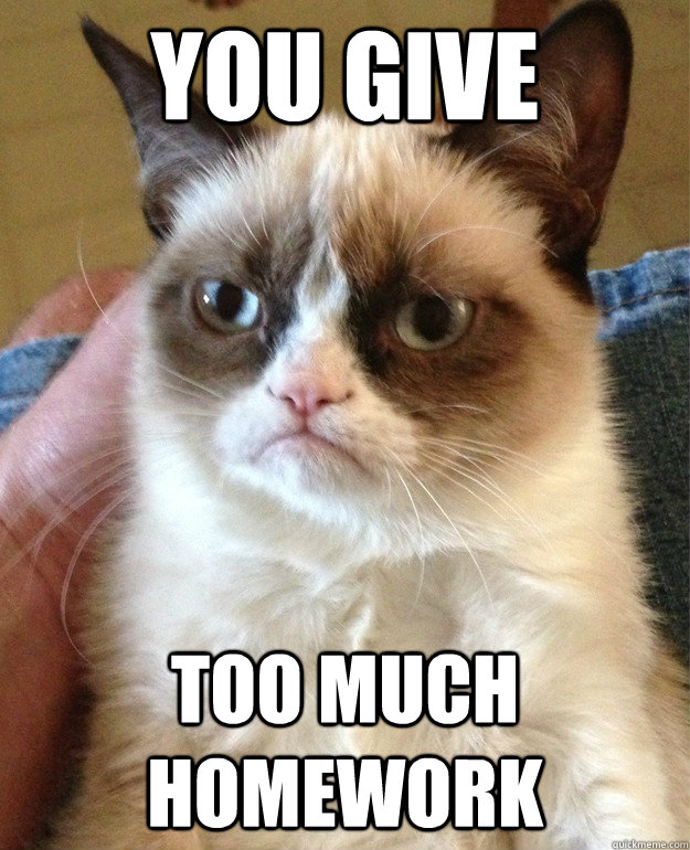 You give Too much homework - You give Too much homework  Grumpy Cat