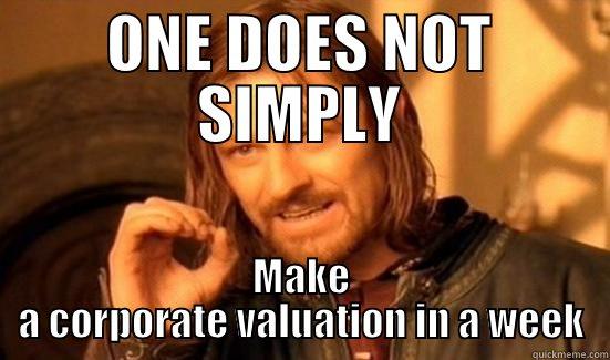 Corporate valuation in less than a week - ONE DOES NOT SIMPLY MAKE A CORPORATE VALUATION IN A WEEK Boromir