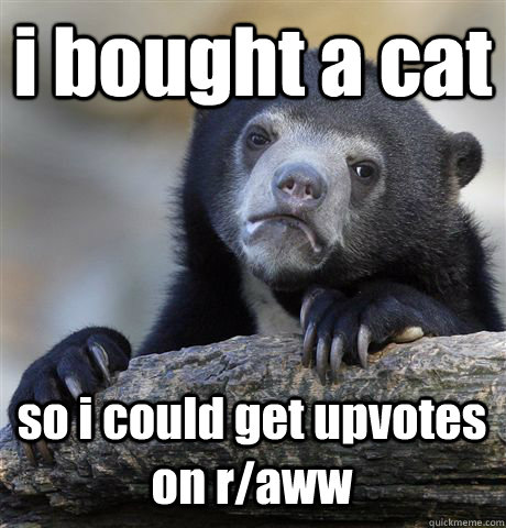 i bought a cat so i could get upvotes on r/aww  Confession Bear
