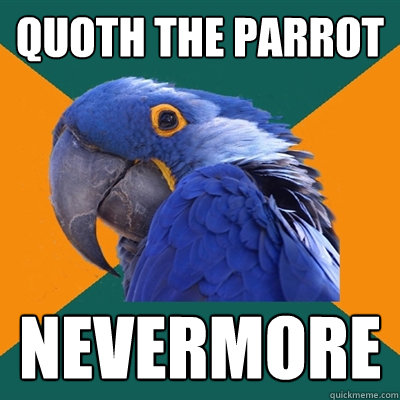 Quoth the parrot nevermore  Paranoid Parrot
