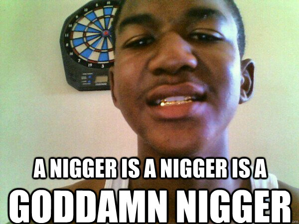 A nigger is a nigger is a GODDAMN NIGGER  thug Trayvon Martin