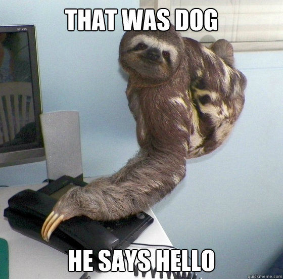 That was dog he says hello - That was dog he says hello  Hanging up Sloth