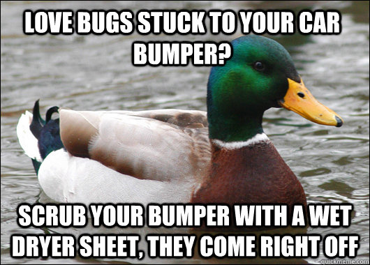 Love bugs stuck to your car bumper?  Scrub your bumper with a wet dryer sheet, they come right off   Actual Advice Mallard