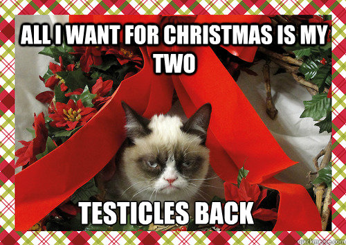 All i want for Christmas is my two testicles back  merry christmas