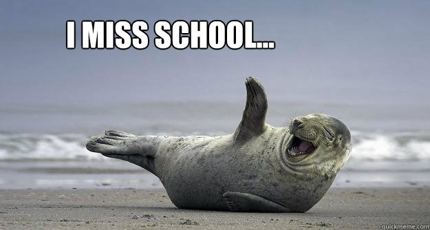 I miss school...  - I miss school...   Sarcastic Laugh Seal