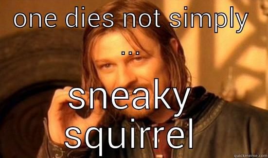 ONE DIES NOT SIMPLY ... SNEAKY SQUIRREL Boromir