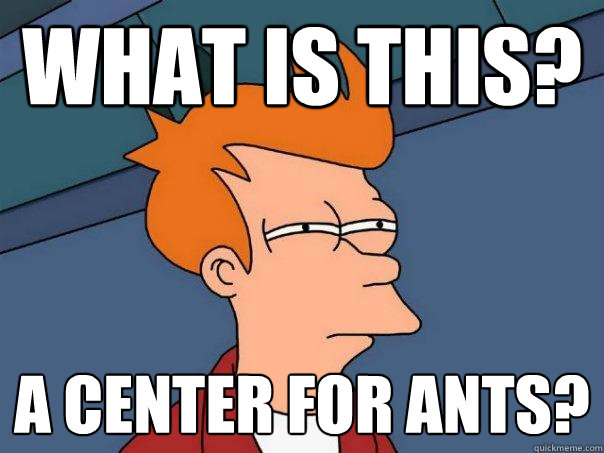 What is this? a center for ants?  Futurama Fry
