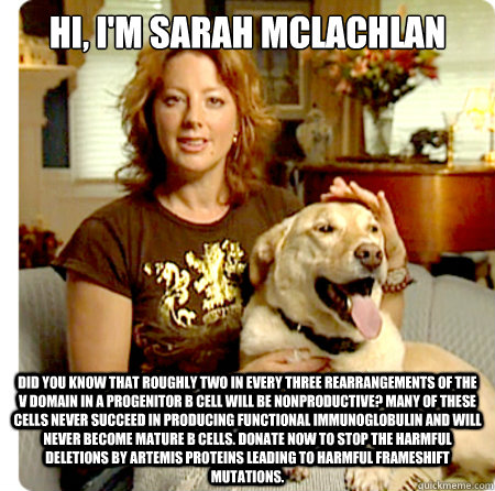 Hi, I'm Sarah McLachlan Did you know that roughly two in every three rearrangements of the V domain in a progenitor B cell will be nonproductive? Many of these cells never succeed in producing functional immunoglobulin and will never become mature B cells  