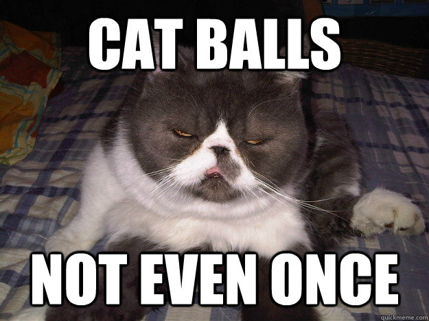 cat balls not even once - cat balls not even once  Stoned Cat