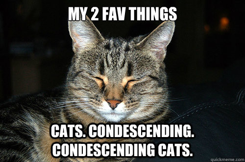 My 2 fav things Cats. condescending. condescending cats. - My 2 fav things Cats. condescending. condescending cats.  Confer Cat
