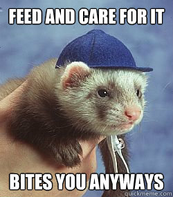 Feed and care for it bites you anyways  