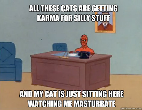 All these cats are getting karma for silly stuff And my cat is just sitting here watching me masturbate  masturbating spiderman