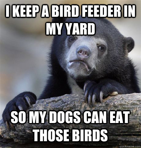 I KEEP A BIRD FEEDER IN MY YARD SO MY DOGS CAN EAT THOSE BIRDS - I KEEP A BIRD FEEDER IN MY YARD SO MY DOGS CAN EAT THOSE BIRDS  Confession Bear