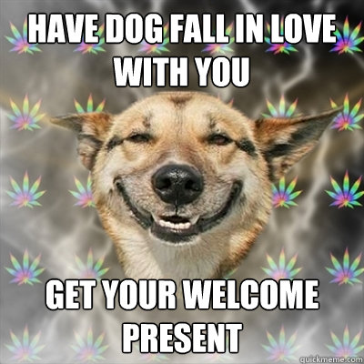 HAVE DOG FALL IN LOVE WITH YOU GET YOUR WELCOME PRESENT  Stoner Dog
