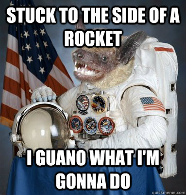 stuck to the side of a rocket i guano what I'm gonna do  