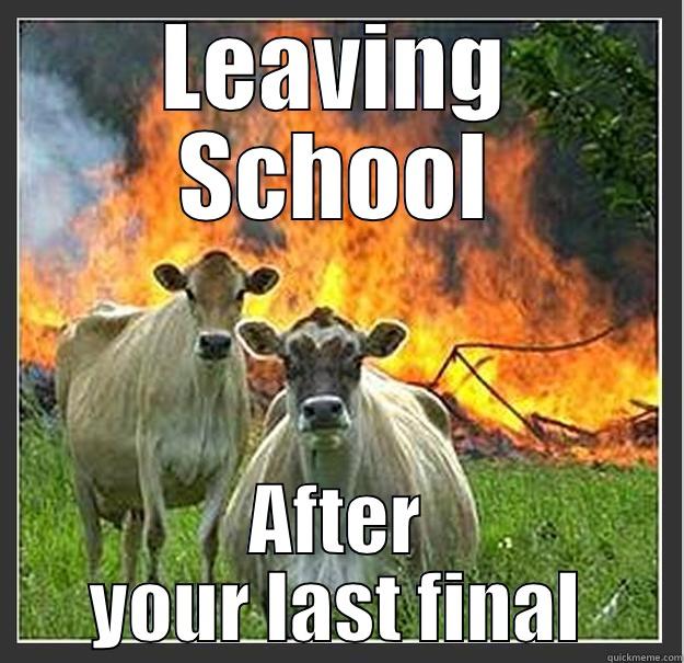 LEAVING SCHOOL AFTER YOUR LAST FINAL Evil cows