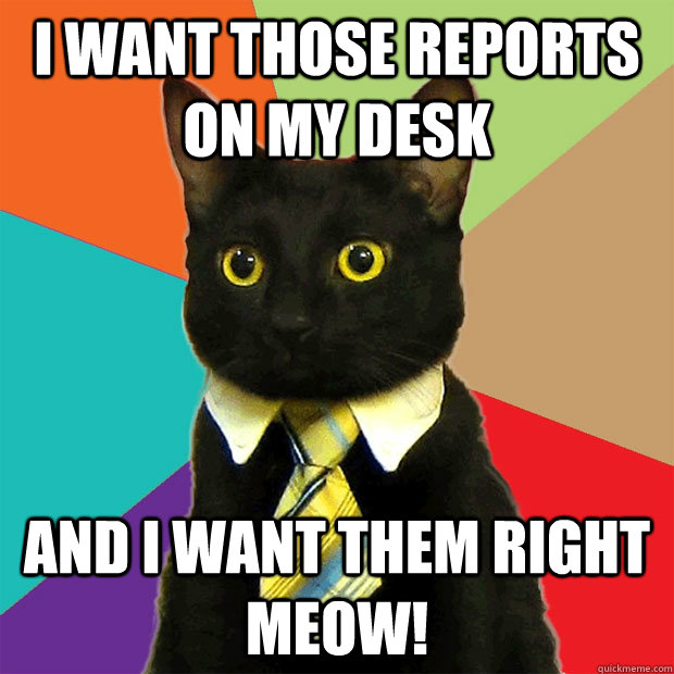 I want those reports on my desk and I want them right meow!  Business Cat