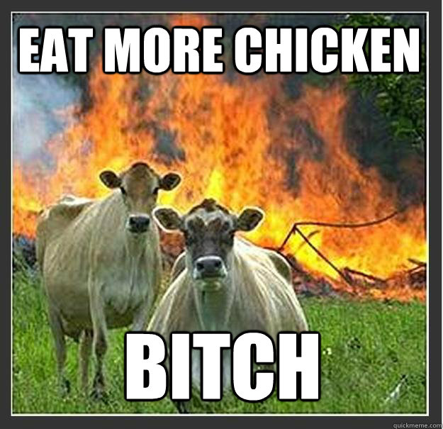 EAt More Chicken BITCH  Evil cows
