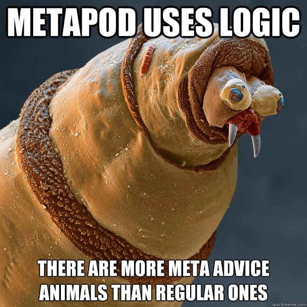 metapod Uses Logic There are more meta advice animals than regular ones - metapod Uses Logic There are more meta advice animals than regular ones  Derp larva