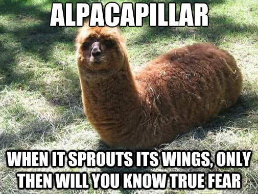 alpacapillar when it sprouts its wings, only then will you know true fear - alpacapillar when it sprouts its wings, only then will you know true fear  Alpacapillar