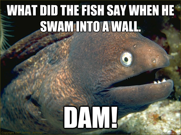 What did the fish say when he swam into a wall. Dam! - What did the fish say when he swam into a wall. Dam!  Bad Joke Eel