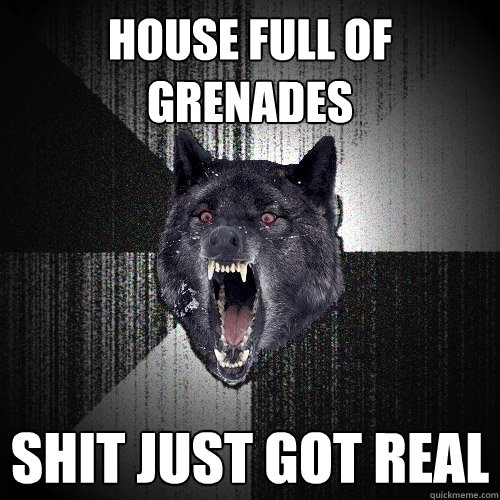 house full of grenades shit just got real  Insanity Wolf