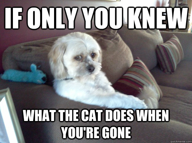 If only you knew what the cat does when you're gone - If only you knew what the cat does when you're gone  Misc