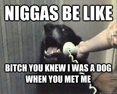 NIGGAS BE LIKE BITCH YOU KNEW I WAS A DOG WHEN YOU MET ME  yes this is dog