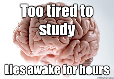 Too tired to study Lies awake for hours   Scumbag Brain